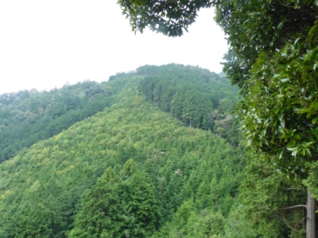 画像38